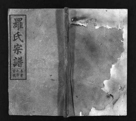 河南罗氏族谱-罗氏宗谱 [20卷,首末各1卷].pdf电子版预览图1