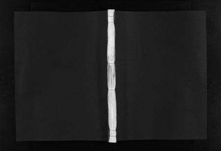 江西、福建邱氏族谱-丰谿邱氏宗谱 [不分卷].pdf电子版预览图1