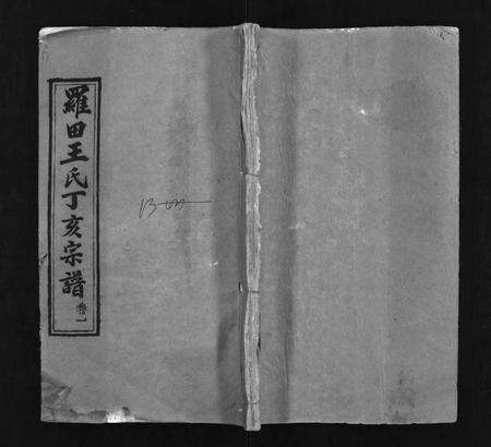 河南、安徽王氏族谱-罗田王氏丁亥宗谱 [13卷].pdf电子版预览图1