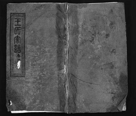 河南、安徽王氏族谱-王氏宗谱 [43卷,首1卷].pdf电子版预览图1