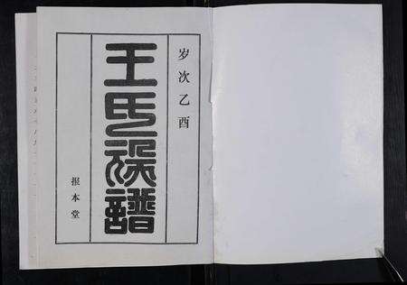 河南王氏族谱-太康马头王氏族谱 [不标卷数].pdf电子版预览图1