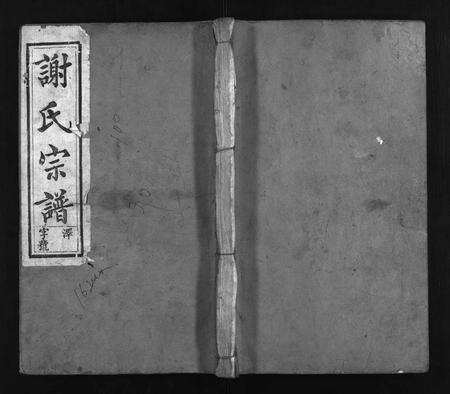 河南谢氏族谱-谢氏宗谱 [8卷].pdf电子版预览图1