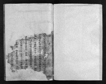 江西、福建杨氏族谱-杨氏宗谱 [卷数不详].pdf电子版预览图1