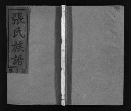 江西、安徽张氏族谱-张氏族谱 [21卷].pdf电子版预览图1