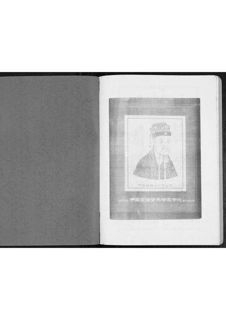 安徽丁氏族谱-丁氏宗谱[不分卷].pdf电子版预览图1