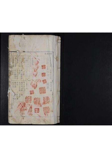 安徽丁氏族谱-丁氏宗谱 [残卷].pdf电子版预览图1