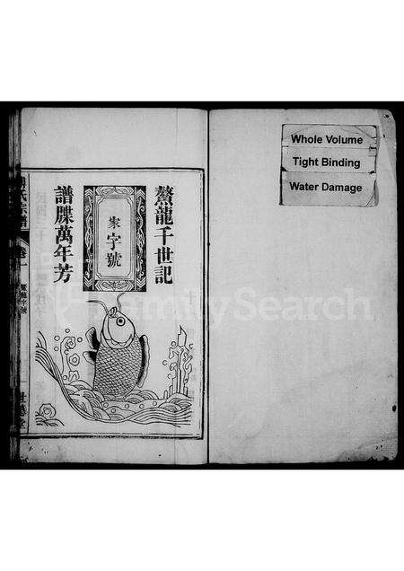 安徽傅氏族谱-傅氏宗谱 [8卷].pdf电子版预览图1