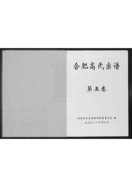 安徽高氏族谱-合肥高氏宗谱.pdf电子版预览图1