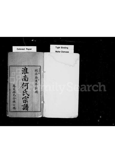 安徽何氏族谱-淮南何氏宗谱 [2卷].pdf电子版预览图1