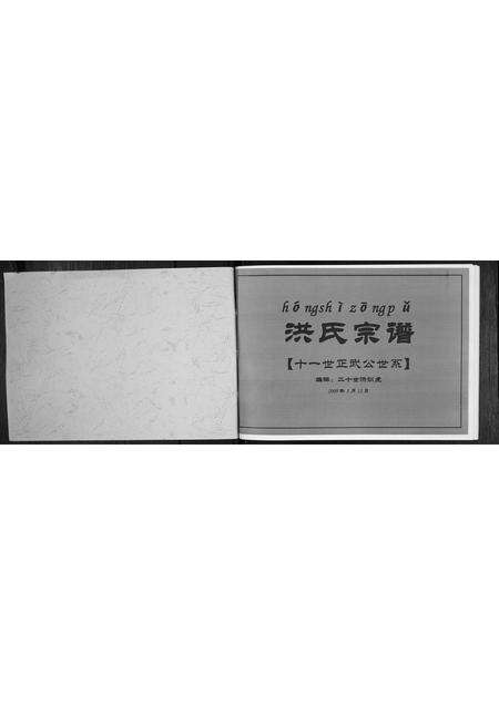 安徽洪氏族谱-洪氏宗谱.pdf电子版预览图1