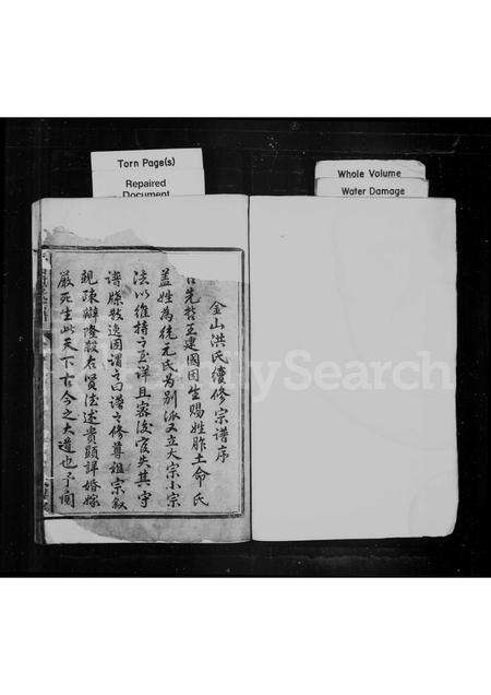 安徽洪氏族谱-金山洪氏宗谱 [4卷].pdf电子版预览图1