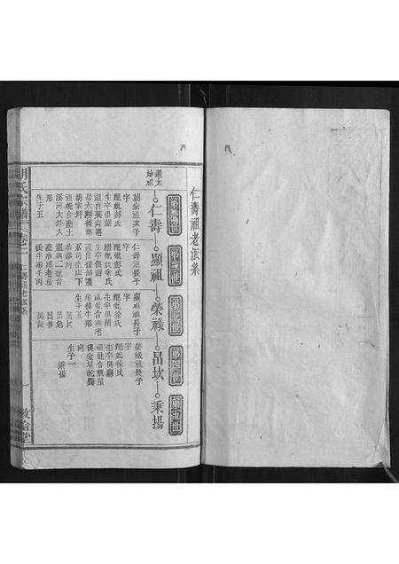 安徽胡氏族谱-胡氏宗谱.pdf电子版预览图1