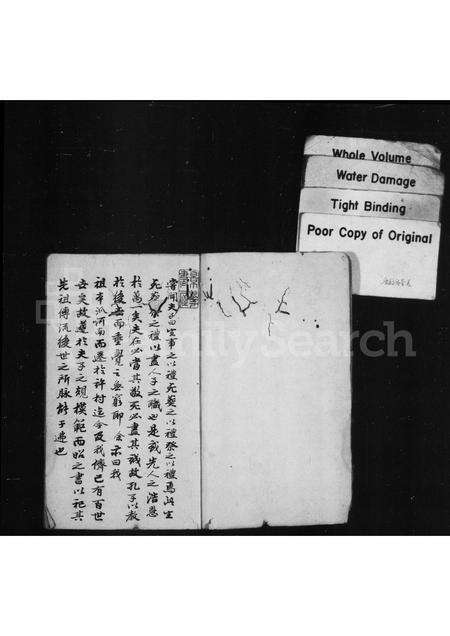 安徽许氏族谱-许村东支谱.pdf电子版预览图1