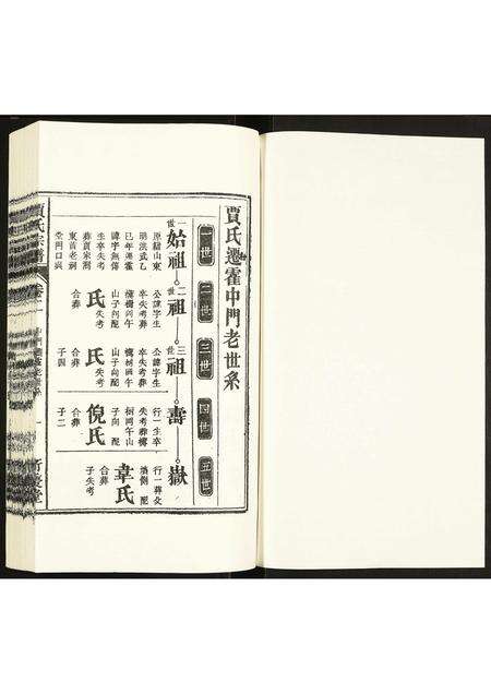 安徽贾氏族谱-贾氏宗谱.pdf电子版预览图1