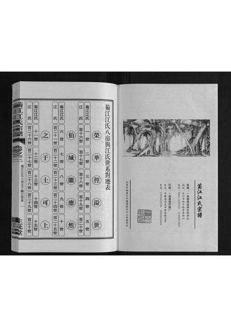 安徽江氏族谱-菊花江氏宗谱.pdf电子版预览图1