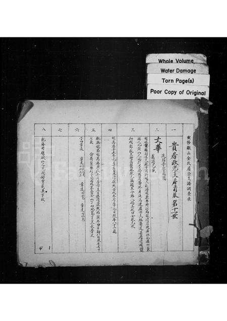 安徽金氏族谱-瓯山金氏迁庐支谱表.pdf电子版预览图1