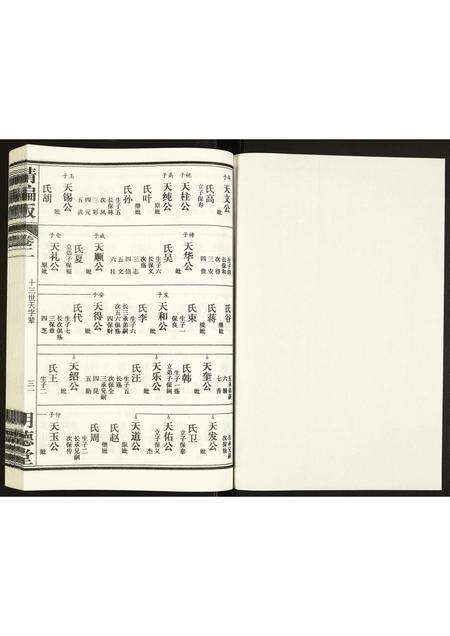 安徽康氏族谱-康氏族谱.pdf电子版预览图1