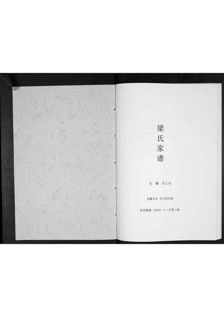 安徽梁氏族谱-梁氏家谱[不分卷].pdf电子版预览图1
