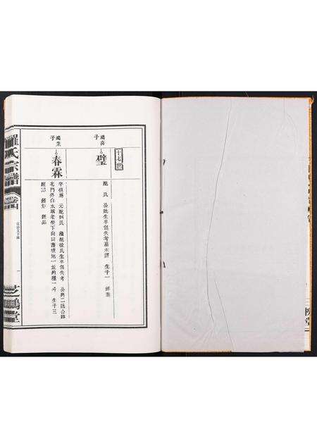 安徽罗氏族谱-罗氏宗谱[4卷].pdf电子版预览图1