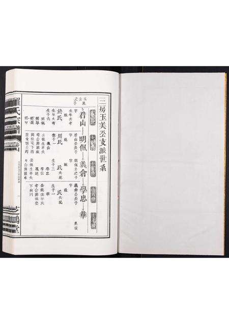 安徽罗氏族谱-罗氏宗谱[4卷].pdf电子版预览图1