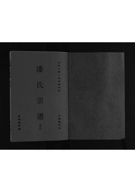 安徽潘氏族谱-潘氏宗谱.pdf电子版预览图1