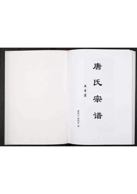 安徽唐氏族谱-唐氏宗谱.pdf电子版预览图1