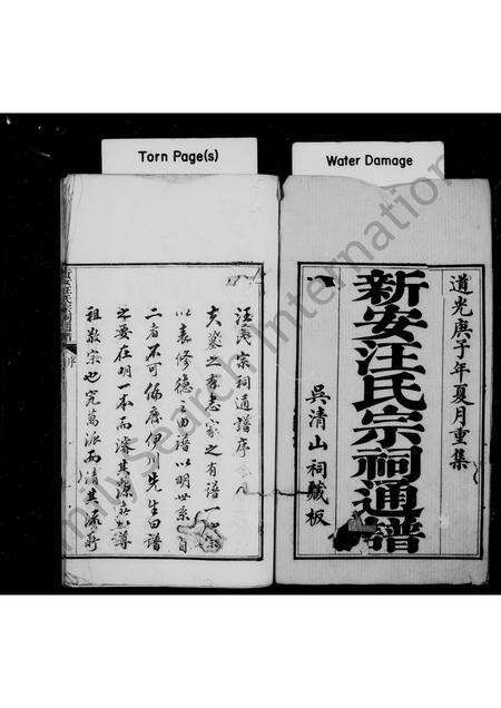 安徽汪氏族谱-新安汪氏宗祠通谱 [4卷,首末各1卷].pdf电子版预览图1