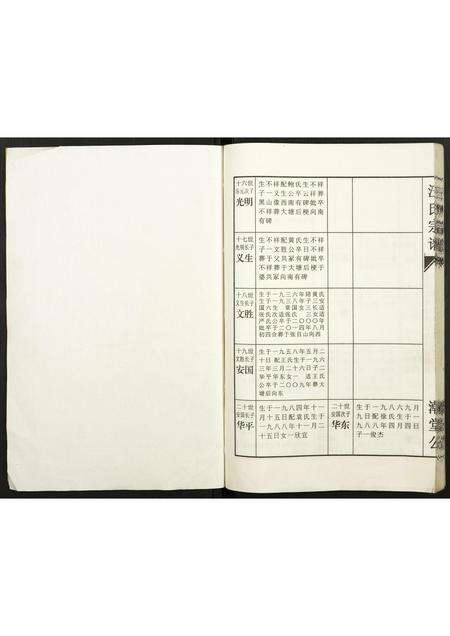 安徽汪氏族谱-汪氏宗谱.pdf电子版预览图1