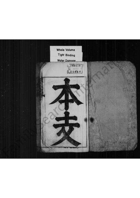 安徽王氏族谱-安吴王氏世谱.pdf电子版预览图1