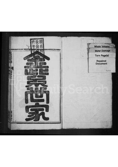 安徽王氏族谱-杨溪王氏宗谱 [4卷].pdf电子版预览图1