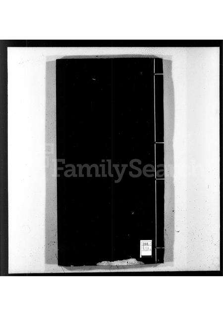 安徽王氏族谱-武口王氏统宗世谱.pdf电子版预览图1