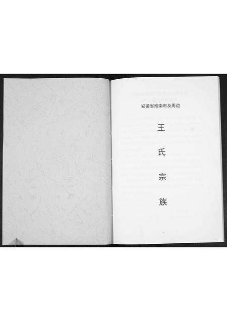 安徽王氏族谱-王氏宗族[不分卷].pdf电子版预览图1