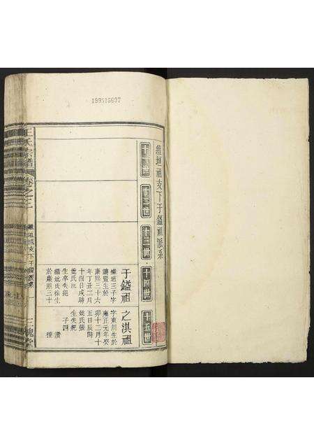 安徽王氏族谱-王氏宗谱.pdf电子版预览图1