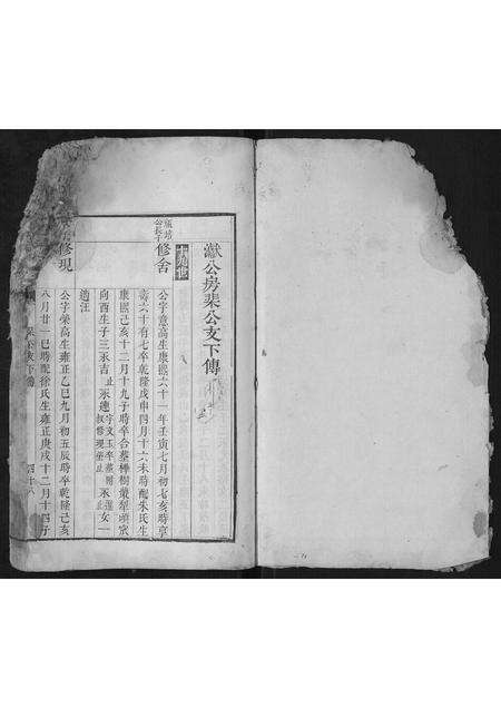 安徽王氏族谱-王氏宗谱.pdf电子版预览图1