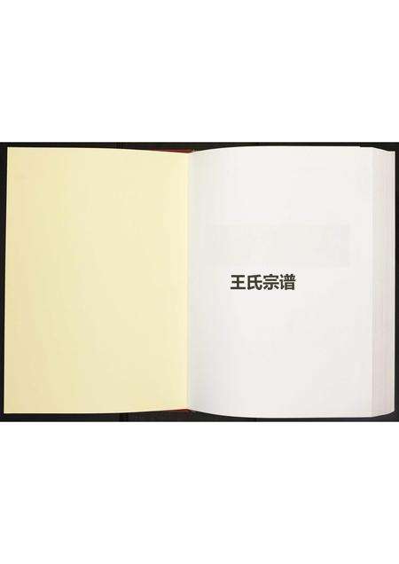 安徽王氏族谱-王氏宗谱.pdf电子版预览图1