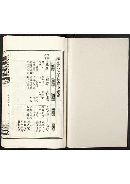 安徽王氏族谱-王氏宗谱.pdf电子版预览图1