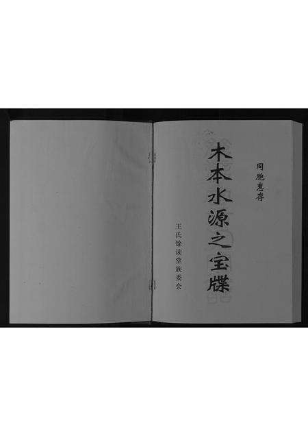 安徽王氏族谱-王氏家谱[不分卷].pdf电子版预览图1