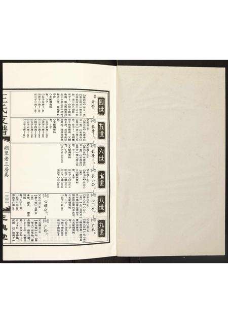 安徽王氏族谱-王氏支谱.pdf电子版预览图1