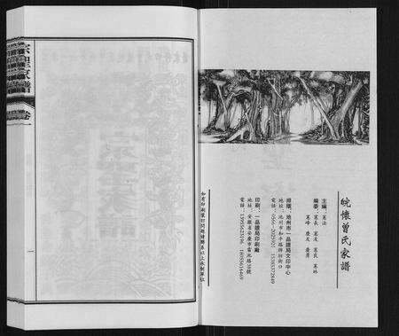 安徽曾氏族谱-宗圣家谱《曾氏》.pdf电子版预览图1