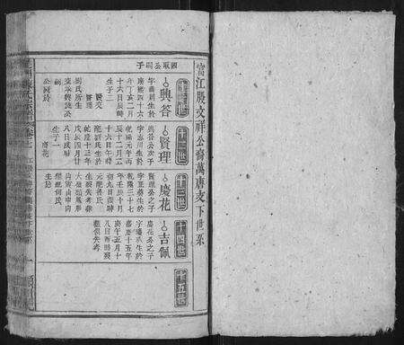 安徽陈氏族谱-义门陈氏族谱.pdf电子版预览图1