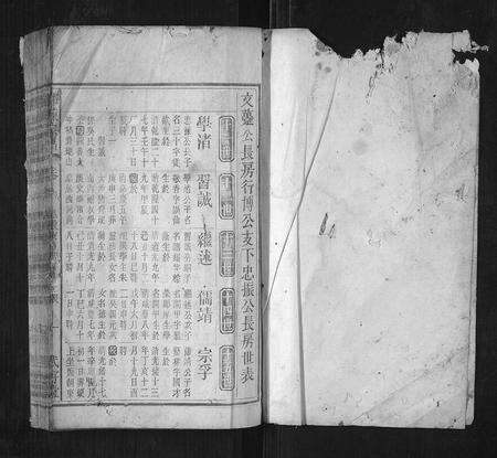 安徽邓氏陈氏族谱-邓陈宗谱.pdf电子版预览图1