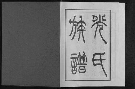 安徽光氏族谱-光氏族谱.pdf电子版预览图1