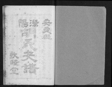 安徽胡氏族谱-安定郡潜阳胡氏支谱.pdf电子版预览图1