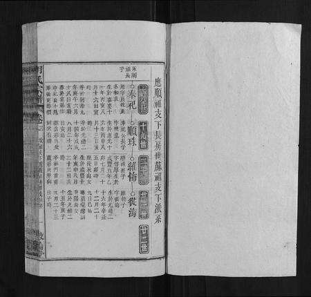 安徽胡氏族谱-胡氏宗谱.pdf电子版预览图1