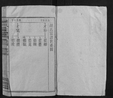 安徽胡氏族谱-胡氏宗谱.pdf电子版预览图1