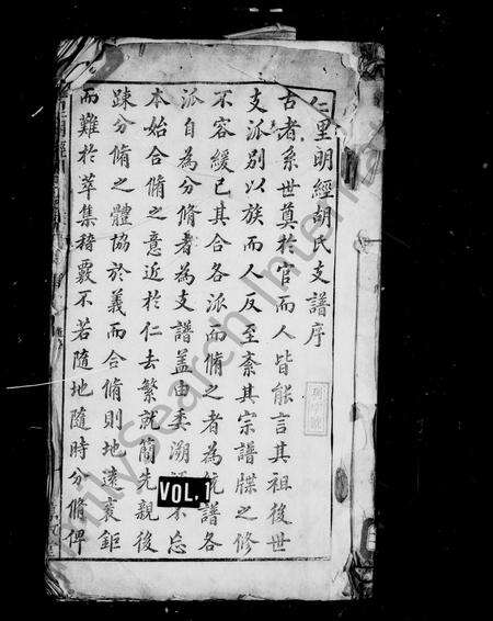 安徽胡氏族谱-仁里明经胡氏支谱 [8卷, 首1卷].pdf电子版预览图1