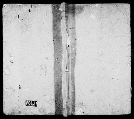 安徽许氏族谱-涧洲许氏宗谱 [10卷].pdf电子版预览图1