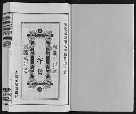 安徽潘氏族谱-潘氏宗谱.pdf电子版预览图1