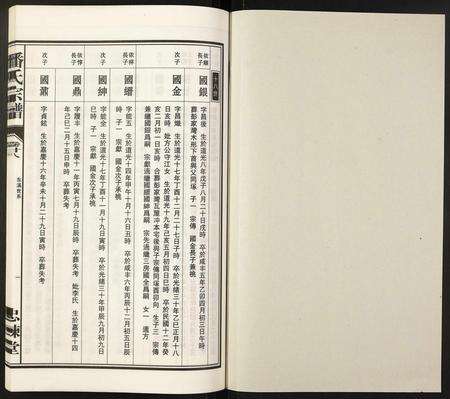 安徽潘氏族谱-潘氏宗谱.pdf电子版预览图1