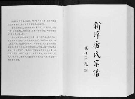 安徽唐氏族谱-唐氏宗谱.pdf电子版预览图1